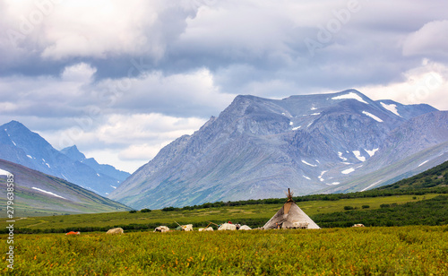 Chooms of the nomadic reindeer herders, Yamal, Russia photo