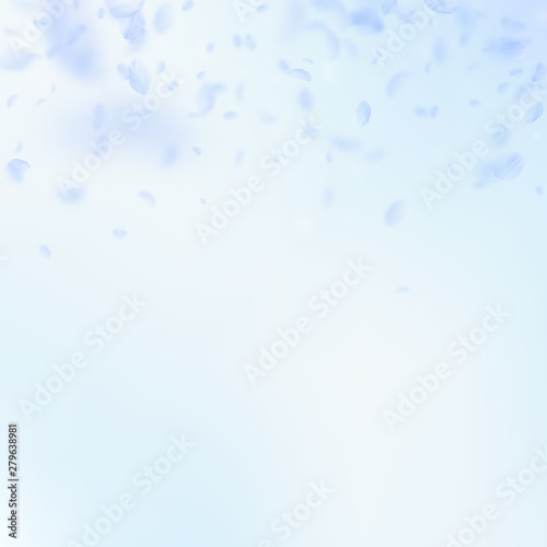 Light blue flower petals falling down. Eminent rom