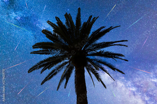 Blue Milky way falling stars palm tree photo