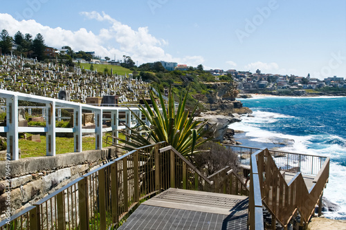 Photography Waverley Cemetery, Bondi to Coogee coastal walk, Sydney Australia