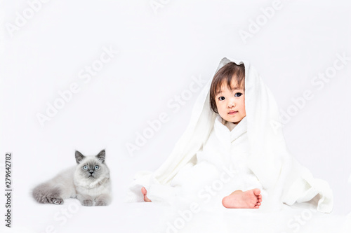 白背景で白いバスタオルを被り子猫と遊ぶ女の子の赤ちゃん。幸せ,愛情,赤ちゃん,育児イメージ © chikala