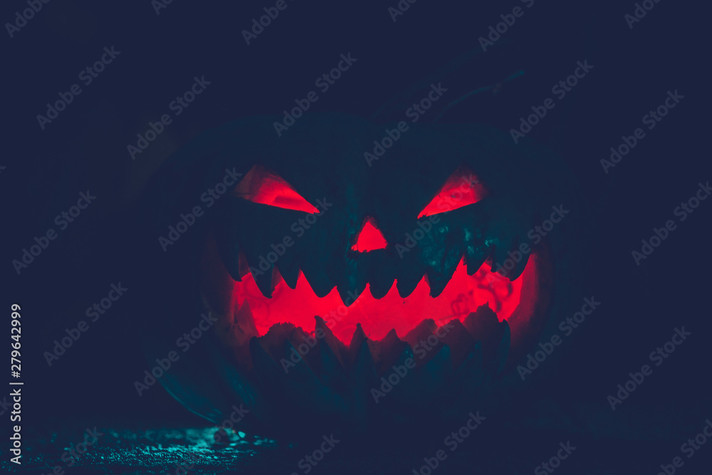 Fototapeta premium pumpkin for Halloween on a dark background close-up