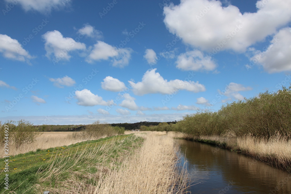 Danish landscape with a beautiful stream Danish landscape with a beautiful stream