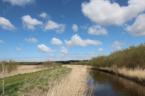 Danish landscape with a beautiful stream