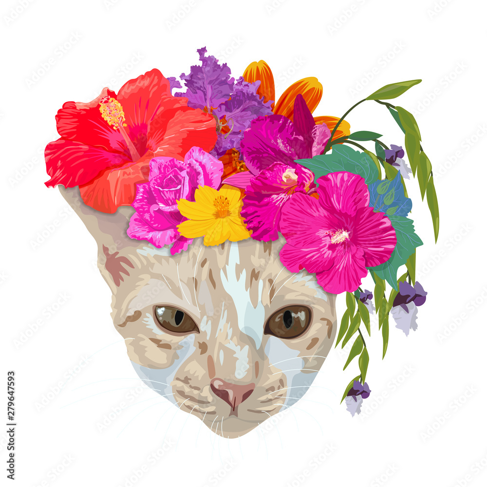 ginger cat head wear chaplet with colorful flower isolated on white background.