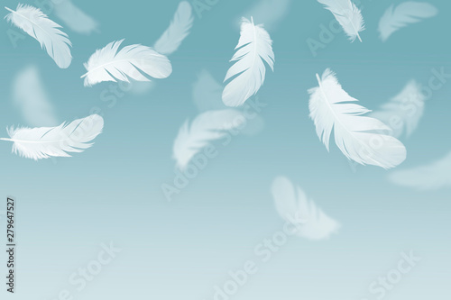 white feathers falling in the air.