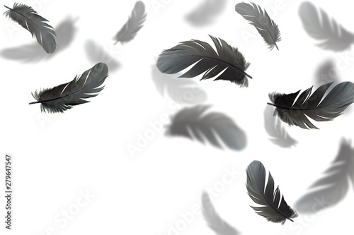white feathers floating in the air. white background.