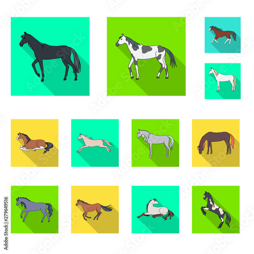 Vector illustration of breed and equestrian sign. Set of breed and mare vector icon for stock.