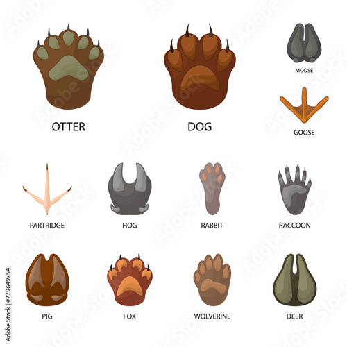 Vector illustration of animal and print sign. Collection of animal and footprint stock symbol for web.