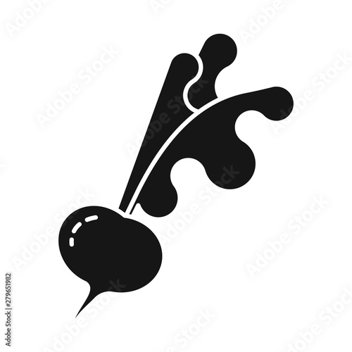 Isolated object of radish and eat sign. Collection of radish and nutrition stock vector illustration.