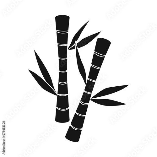 Isolated object of bamboo and green icon. Collection of bamboo and botanical stock vector illustration.