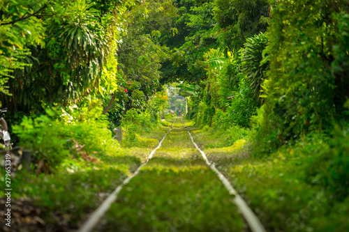 Photography Train track or locomotive line thru the tree tunnel like the famous tunnel of love, which is secret location in urban area, Bangkok