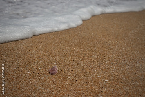 Sand, Waves & Shell © Unnikrishnan
