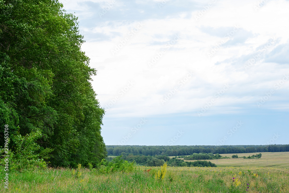 Green background with a beautiful lawn and blue sky Green background with a beautiful lawn and blue sky