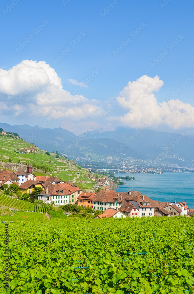 Vertical photography of stunning village Rivaz in Lavaux wine region, Switzerland. Green terraced vineyards on the hills by turquoise Geneva Lake. Switzerland summer. Amazing landscapes