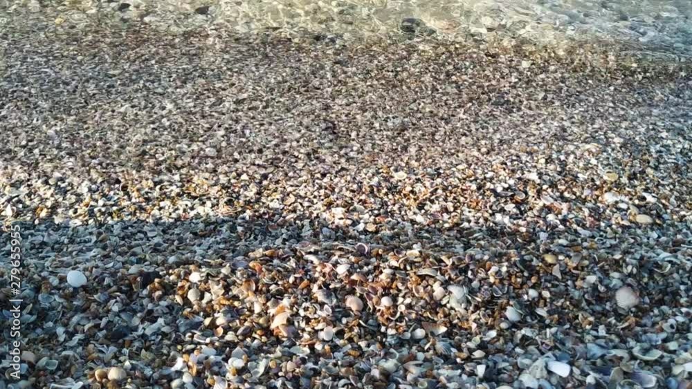Waves wash the little shells on the sand Waves wash the little shells on the sand