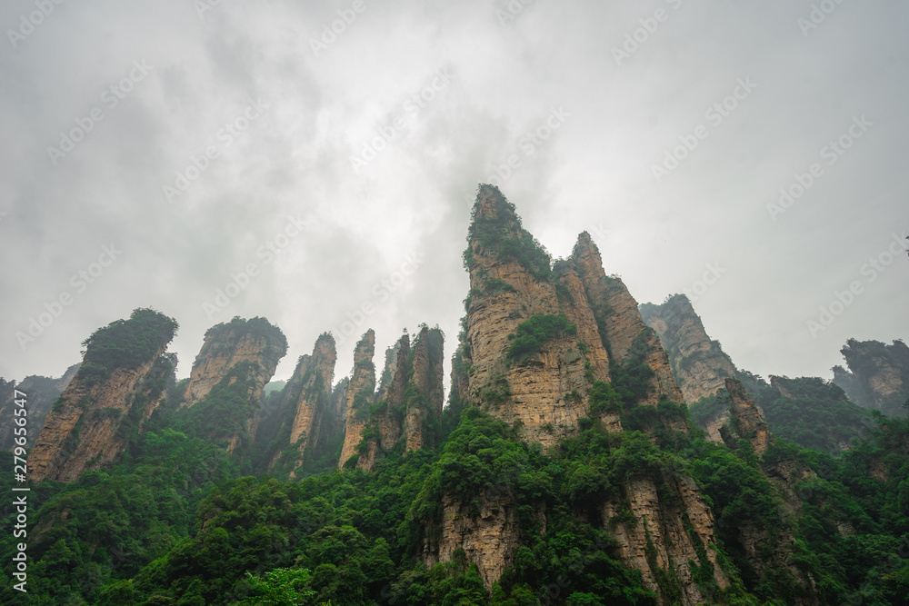 Zhangejiajie or Wulingyuan national park in Hunan - China. This location is rate as world heritage site in category of natural. Amazing many peaks of limestone mountain. Landmark scenic view photo.