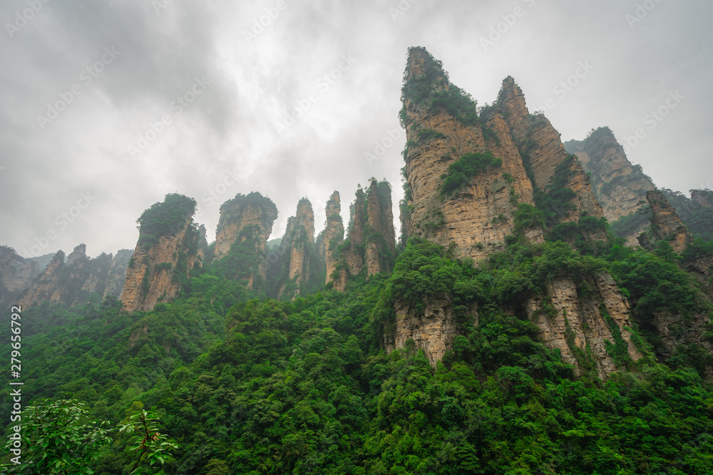 Zhangejiajie or Wulingyuan national park in Hunan - China. This location is rate as world heritage site in category of natural. Amazing many peaks of limestone mountain. Landmark scenic view photo.