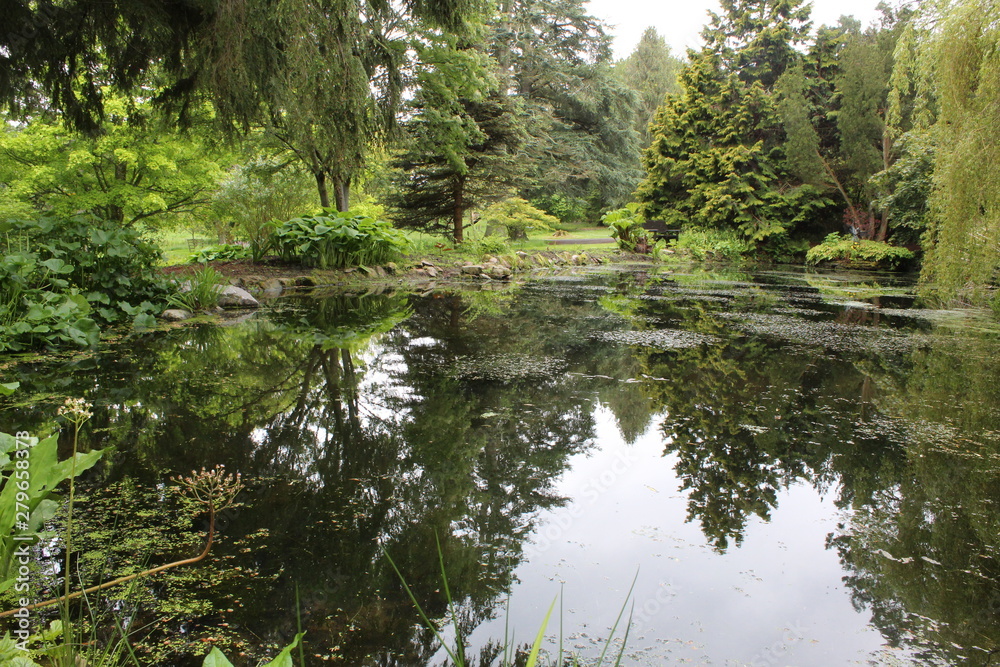 Frog Garden Frog Garden