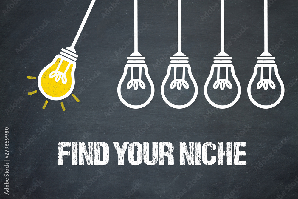 Fototapeta premium Find your niche