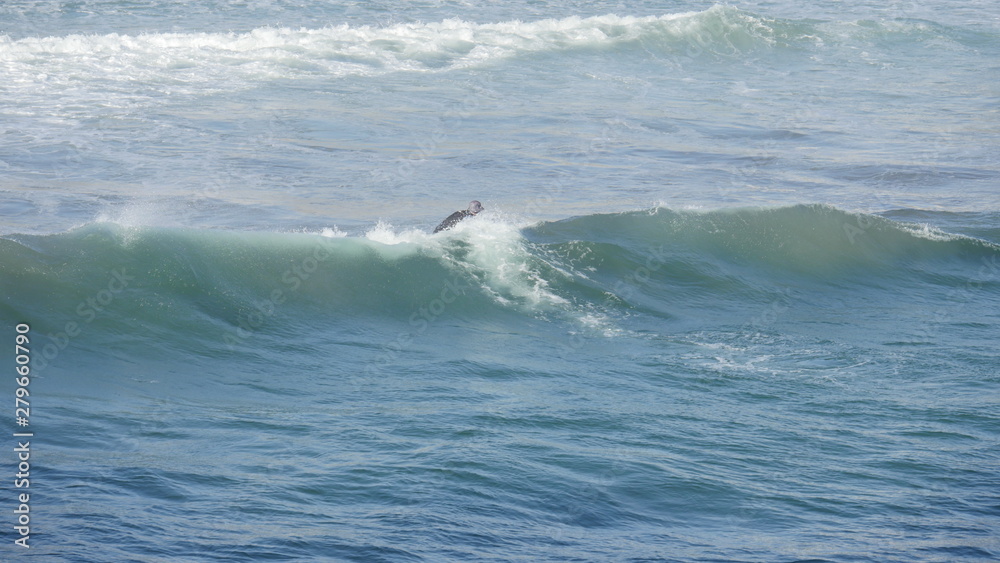 Beach with waves crashing at the ocean with surfer shot in high resolution Beach with waves crashing at the ocean with surfer shot in high resolution