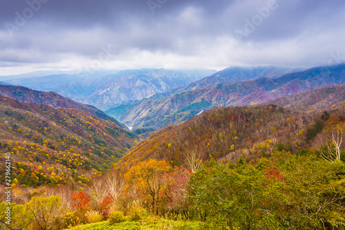 Landscape in Nikko National Park in Tochigi  Japan.