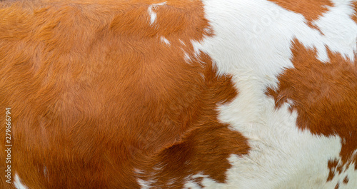 Brown cow skin texture. Agriculture. Smooth surface.