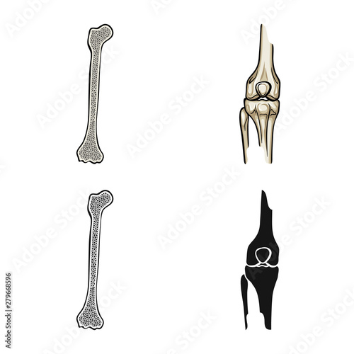 Isolated object of medicine and clinic sign. Set of medicine and medical vector icon for stock.
