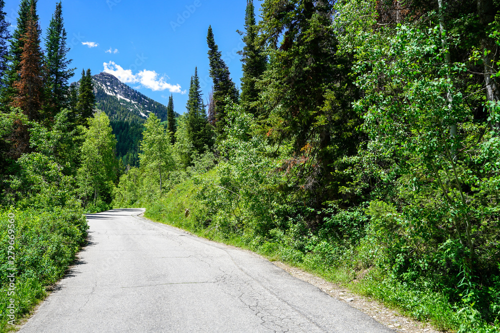 Road with mountain background in the mountains east of Salt Lake City, Utah Road with mountain background in the mountains east of Salt Lake City, Utah