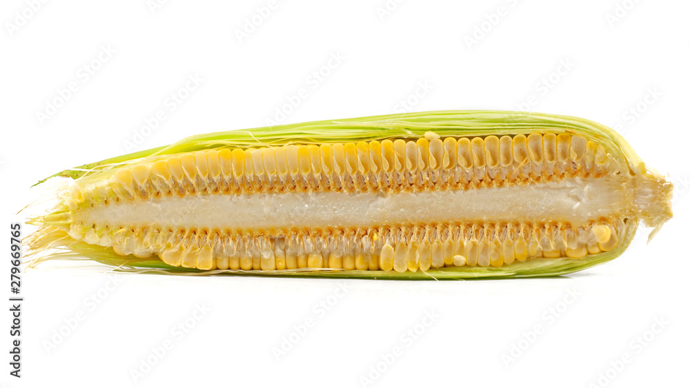 Fresh Corn isolated cut out on white background