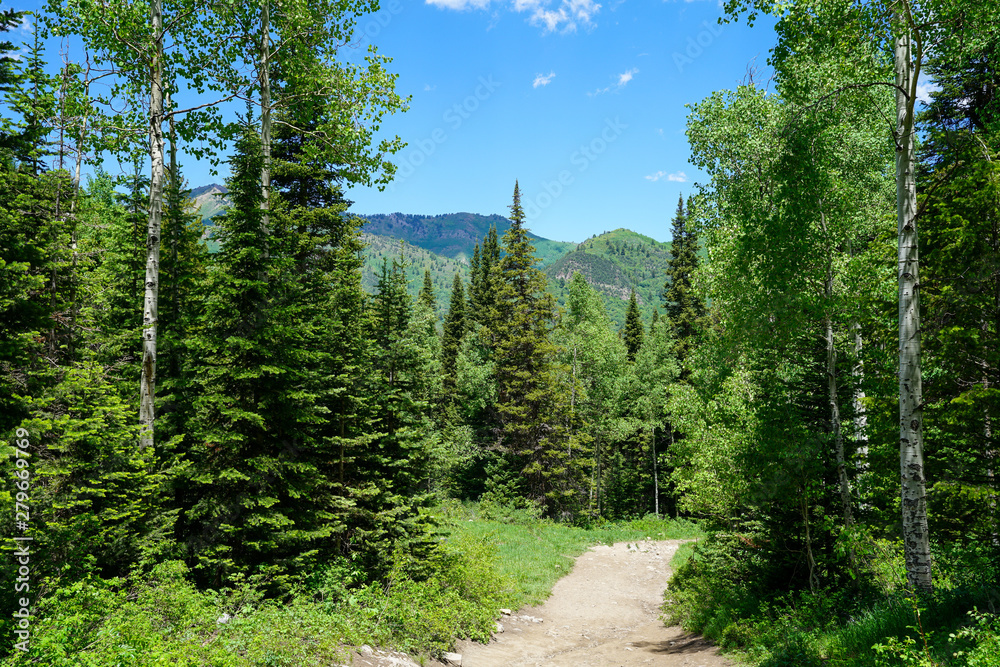 Hiking trail in the mountains east of Salt Lake City, Utah