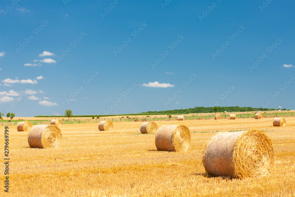 field with straw