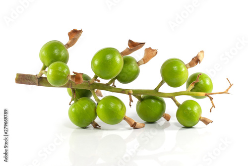 Billede på lærred Gelangal seed isolated on white background
