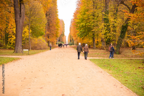 Fototapeta Naklejka Na Ścianę i Meble -  Beautiful view of forest at autumn