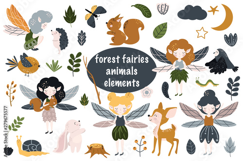 set of isolated forest fairies - vector illustration, eps