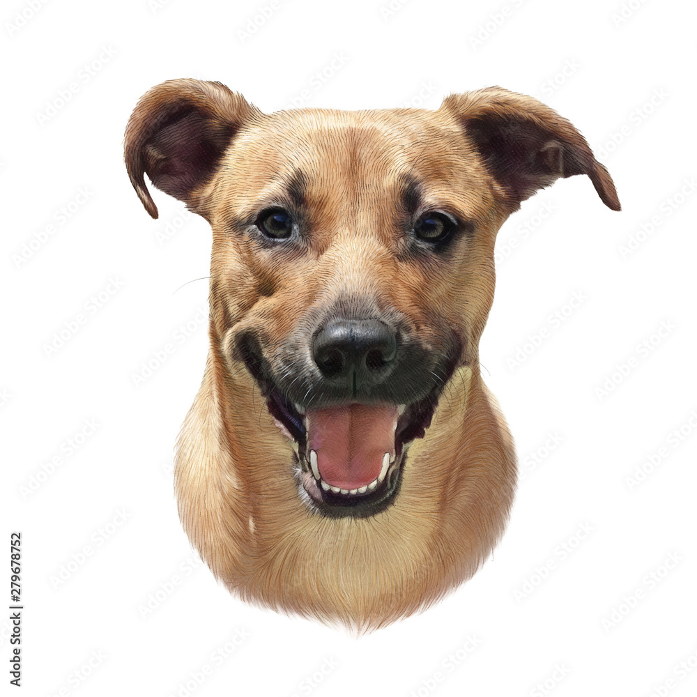 Portrait of a cute dog with a friendly smile isolated on white background. Animal collection: Dogs. Hand Painted Illustration of Pets. Art background for banner, cover, card, pillow. Design template