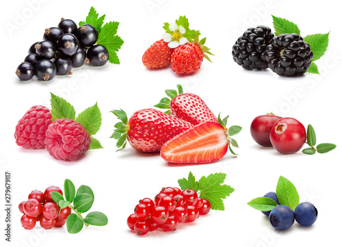 Collection of various berries on the white background.