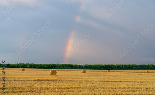 beautiful multicolored rainbow over a sloping wheat field with large rolls of straw