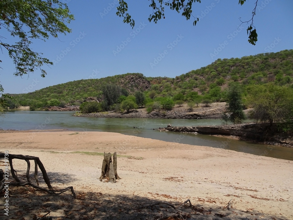 tree on the beach