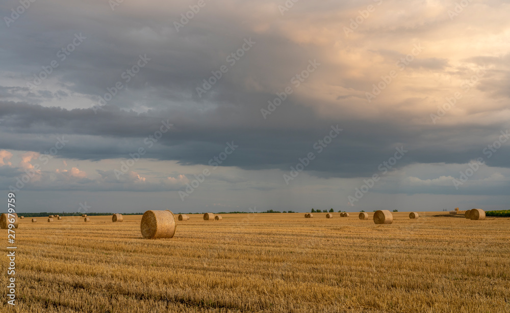 evening sky over a sloping wheat field with large rolls of straw