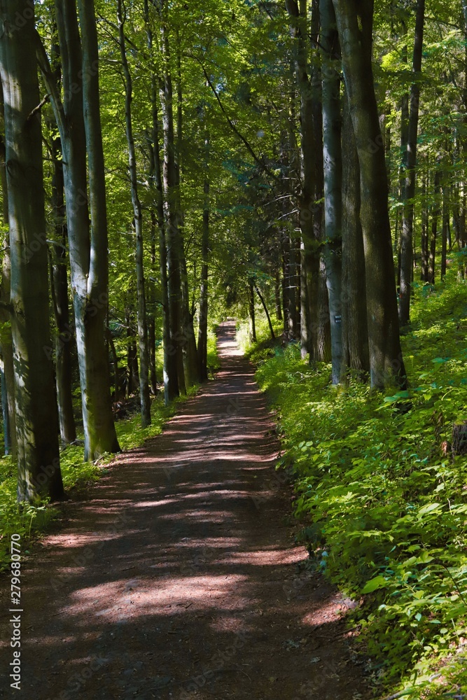 der weg ist das ziel der weg ist das ziel