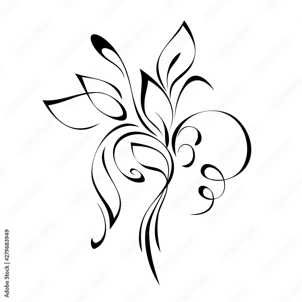 decorative element with stylized leaves and curls in black lines on a white background decorative element with stylized leaves and curls in black lines on a white background