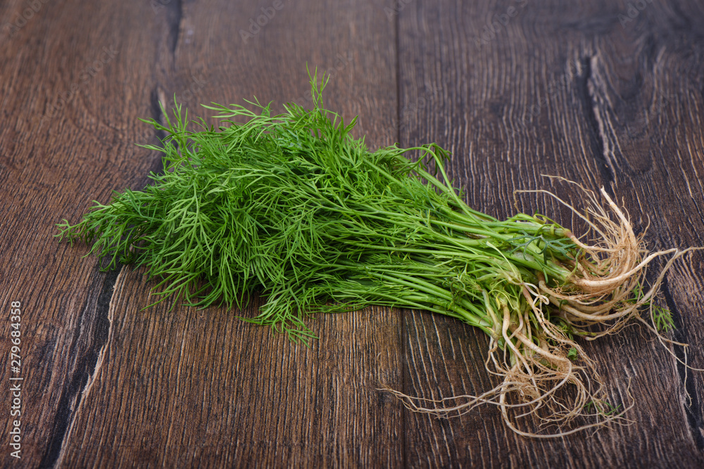 Fresh dill with roots on wooden table. Rustic style. Fresh dill with roots on wooden table. Rustic style.