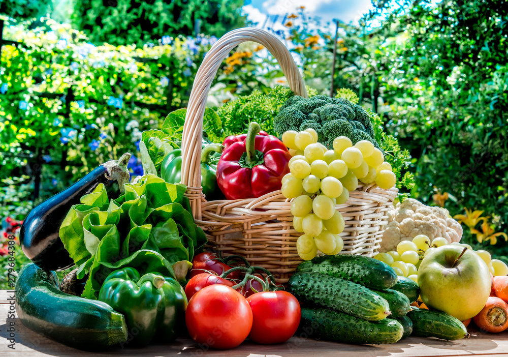 Variety of fresh organic vegetables and fruits in the garden - obrazy, fototapety, plakaty 