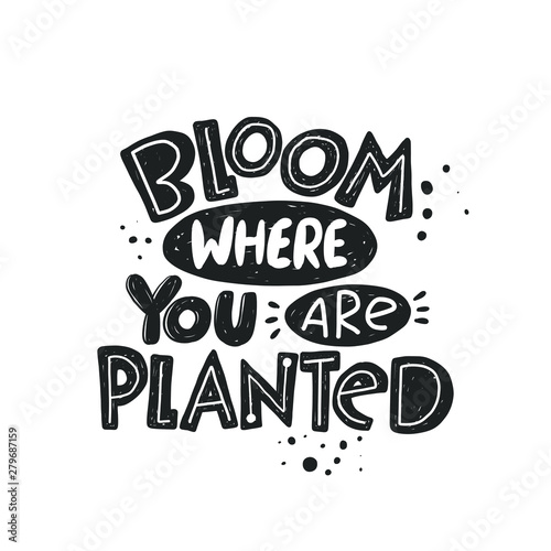 Bloom where you are planted. Hand drawn garden lettering, quote sketch typography. Motivational handwritten phrase. Poster, sticker, home decor, shop, placard, print design, card, motivation print