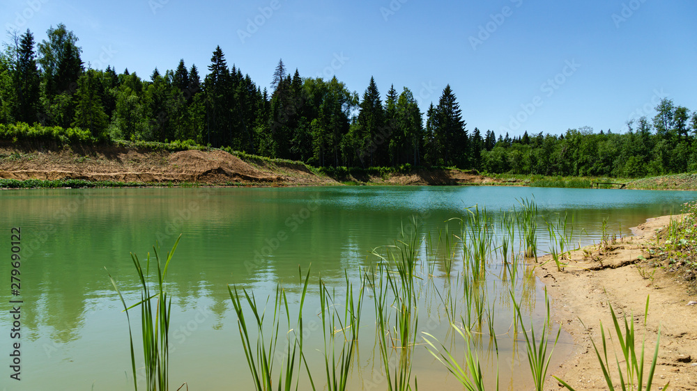 Green grass Typha angustifolia in front panorama of quarry lake with emerald water and wild forest as background. Theme for traveling and tourism