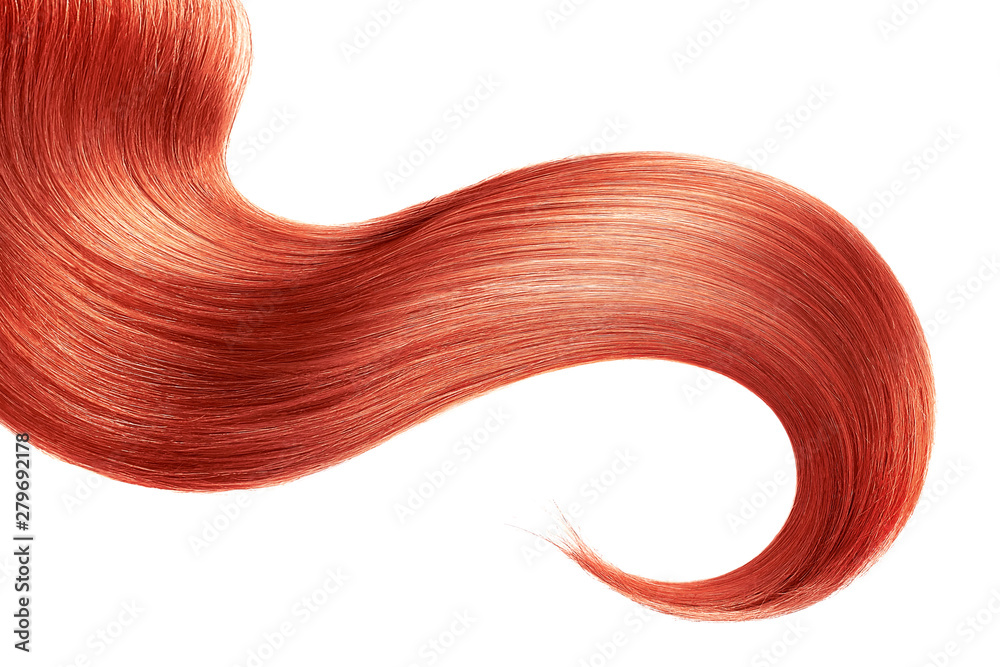 Red hair isolated on white background. Long ponytail.