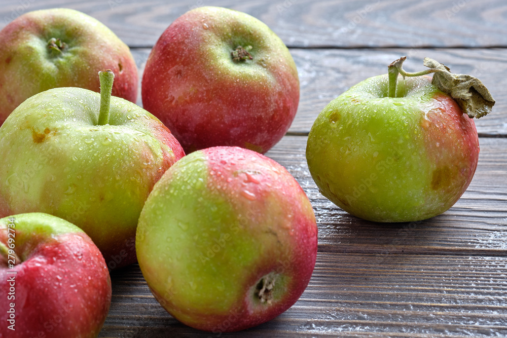 fresh harvest apples on brown wet natural old wooden table surface. Fruits are covered by raindrops. fresh harvest apples on brown wet natural old wooden table surface. Fruits are covered by raindrops.