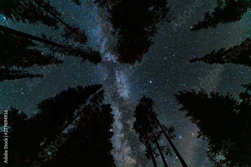 Wallpaper Mural Milky Way over Mazama campground in Crater Lake National Park