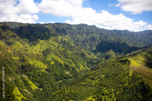 Forrest Mountains of Kauai